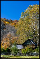 Historic log building in fall, Oconaluftee Mountain Farm, North Carolina. Great Smoky Mountains National Park, USA.