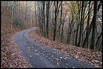 Balsam Mountain Road in autumn forest, North Carolina. Great Smoky Mountains National Park, USA.
