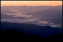 Ridges and valley fog seen from Clingman Dome, sunrise, North Carolina. Great Smoky Mountains National Park, USA.