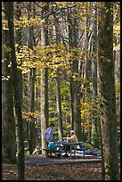 Family at picnic table in autumn forest, Tennessee. Great Smoky Mountains National Park, USA. (color)