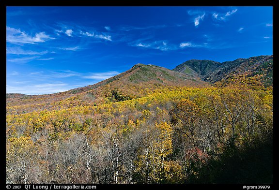 Slopes and hills in fall foliage with mountain behind, Tennessee. Great Smoky Mountains National Park (color)
