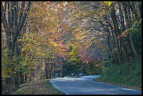 Newfoundland Gap road during the fall, Tennessee. Great Smoky Mountains National Park, USA. (color)