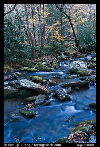 Stream in autumn, Roaring Fork, Tennessee. Great Smoky Mountains National Park, USA.