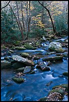 Stream in autumn, Roaring Fork, Tennessee. Great Smoky Mountains National Park, USA.