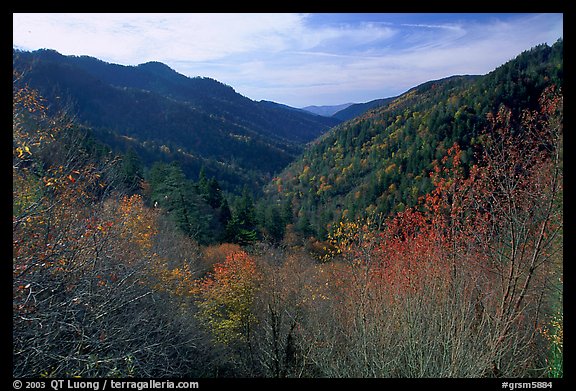 Valley covered with trees in late autumn, Morton overlook, Tennessee. Great Smoky Mountains National Park (color)