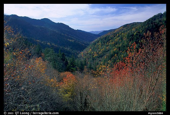 Valley covered with trees in late autumn, Morton overlook, Tennessee. Great Smoky Mountains National Park, USA.