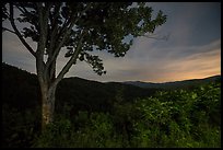 View from Cataloochee Overlook at night, North Carolina. Great Smoky Mountains National Park ( color)