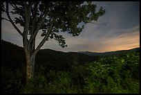 View from Cataloochee Overlook at night, North Carolina. Great Smoky Mountains National Park ( color)