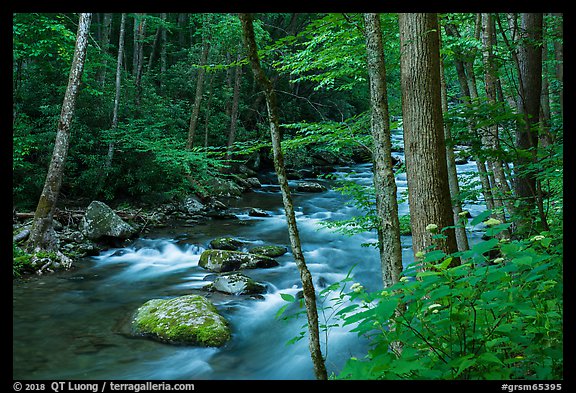 Little River, Elkmont, Tennessee. Great Smoky Mountains National Park (color)