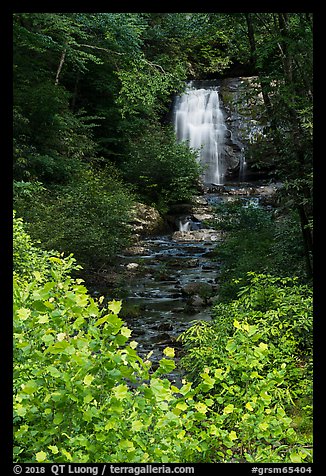 Meigs Falls, Tennessee. Great Smoky Mountains National Park (color)