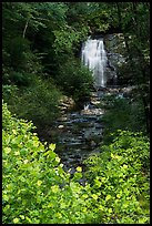 Meigs Falls, Tennessee. Great Smoky Mountains National Park ( color)