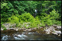 Meigs Falls and Little River, Tennessee. Great Smoky Mountains National Park ( color)