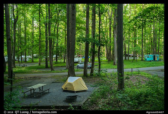 Elkmont Campground, Tennessee. Great Smoky Mountains National Park (color)