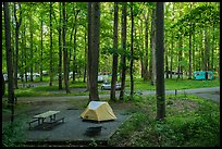 Elkmont Campground, Tennessee. Great Smoky Mountains National Park ( color)