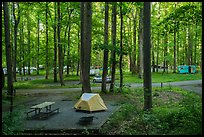 Elkmont Campground, Tennessee. Great Smoky Mountains National Park, USA.