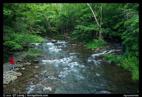 Visitor Looking, Little River, Tennessee. Great Smoky Mountains National Park (color)
