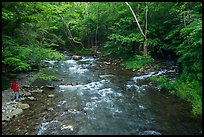 Visitor Looking, Little River, Tennessee. Great Smoky Mountains National Park, USA.