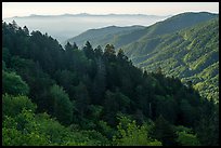 Ridges from Newfound Gap, North Carolina. Great Smoky Mountains National Park ( color)