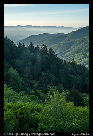 Ridges from Newfound Gap in summer, North Carolina. Great Smoky Mountains National Park (color)
