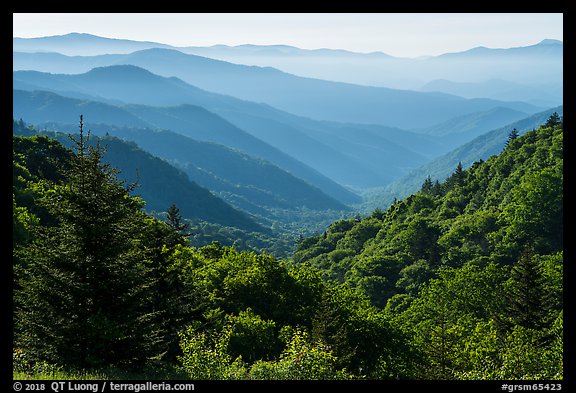 Oconaluftee Valley, early morning, North Carolina. Great Smoky Mountains National Park (color)