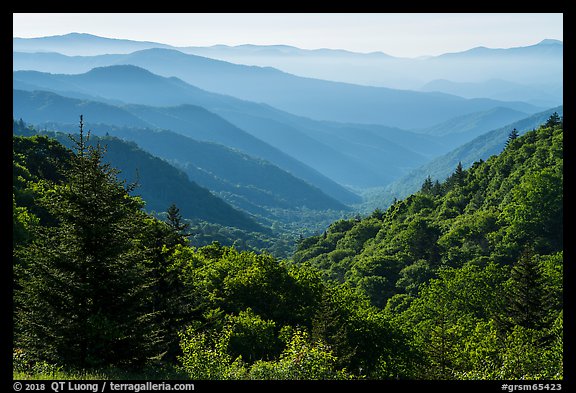 Oconaluftee Valley, early morning, North Carolina. Great Smoky Mountains National Park, USA.