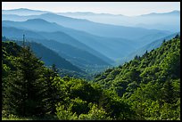Oconaluftee Valley, early morning, North Carolina. Great Smoky Mountains National Park ( color)
