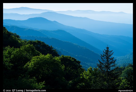 Receding valley and stacked ridges, early morning, North Carolina. Great Smoky Mountains National Park (color)