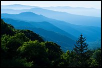 Receding valley and stacked ridges, early morning, North Carolina. Great Smoky Mountains National Park ( color)