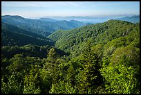 View from Deep Creek Overlook in summer, North Carolina. Great Smoky Mountains National Park ( color)
