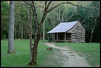 Path leading to historic abin, Cades Cove, Tennessee. Great Smoky Mountains National Park, USA. (color)