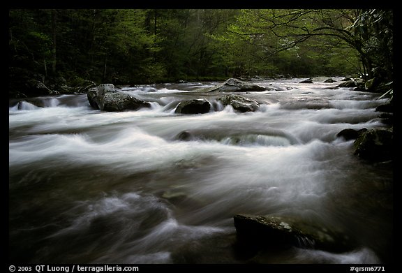 Little River flow, Tennessee. Great Smoky Mountains National Park, USA.