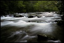 Little River flow, Tennessee. Great Smoky Mountains National Park, USA. (color)