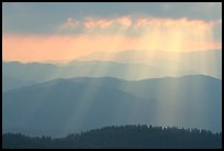 God's rays and ridges from Clingmans Dome, early morning, North Carolina. Great Smoky Mountains National Park, USA. (color)