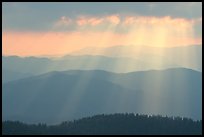 God's rays and ridges from Clingmans Dome, early morning, North Carolina. Great Smoky Mountains National Park, USA. (color)