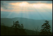 Sunrays over ridges, early morning, North Carolina. Great Smoky Mountains National Park, USA. (color)