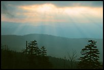 Sunrays over ridges, early morning, North Carolina. Great Smoky Mountains National Park, USA.