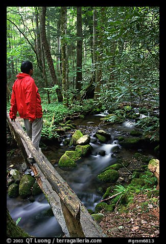 Hiker on tiny footbrige above stream, Tennessee. Great Smoky Mountains National Park, USA.