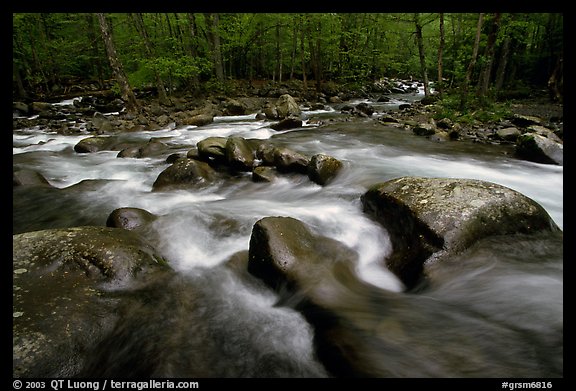 Confluence of the Little Pigeon Rivers, Tennessee. Great Smoky Mountains National Park (color)