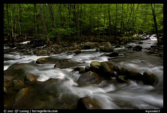 Confluence of the Middle Prong of the Little Pigeon River, Tennessee. Great Smoky Mountains National Park (color)