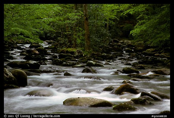 Middle Prong of the Little Pigeon River, Tennessee. Great Smoky Mountains National Park (color)