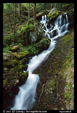 Small cascading stream, Treemont, Tennessee. Great Smoky Mountains National Park (color)