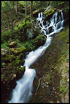 Small cascading stream, Treemont, Tennessee. Great Smoky Mountains National Park, USA. (color)