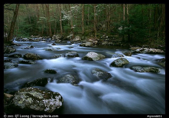 Water flowing over boulders in the spring, Treemont, Tennessee. Great Smoky Mountains National Park (color)