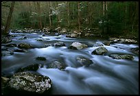 Water flowing over boulders in the spring, Treemont, Tennessee. Great Smoky Mountains National Park, USA.