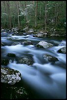 Boulders in flowing water, Middle Prong of the Little River, Tennessee. Great Smoky Mountains National Park, USA.