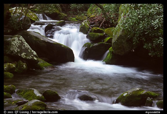 Cascade pothole, Roaring Fork River, Tennessee. Great Smoky Mountains National Park, USA.