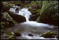 Cascade pothole, Roaring Fork River, Tennessee. Great Smoky Mountains National Park, USA. (color)