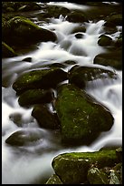 Stream flowing over mossy boulders, Roaring Fork, Tennessee. Great Smoky Mountains National Park, USA. (color)