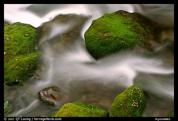 Mossy boulders and flowing water, Roaring Fork River, Tennessee. Great Smoky Mountains National Park (color)