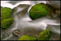 Mossy boulders and flowing water, Roaring Fork River, Tennessee. Great Smoky Mountains National Park, USA.